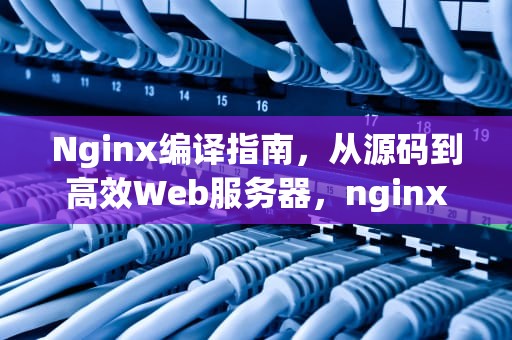 Nginx编译指南，从源码到高效Web服务器，nginx编译后放到其他环境路径有问题
