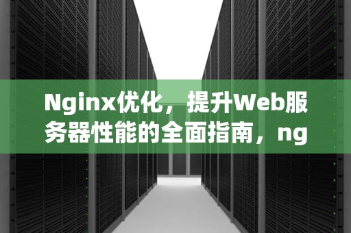 Nginx优化，提升Web服务器性能的全面指南，nginx优化 突破十万并发