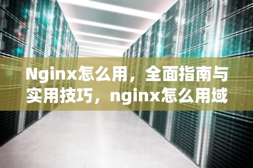 Nginx怎么用，全面指南与实用技巧，nginx怎么用域名来代理