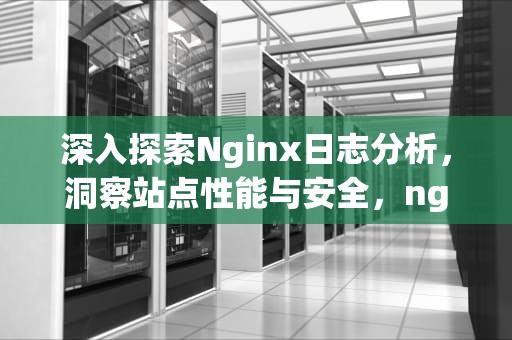 深入探索Nginx日志分析，洞察站点性能与安全，nginx 日志解析
