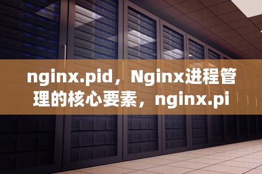 nginx.pid，Nginx进程管理的核心要素，nginx.pid是什么文件