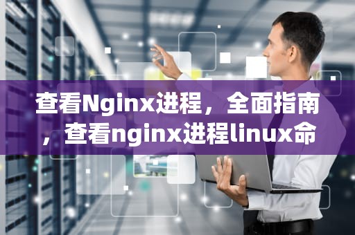 查看Nginx进程，全面指南，查看nginx进程linux命令