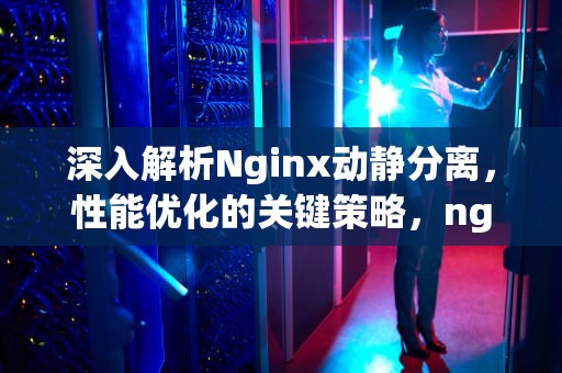 深入解析Nginx动静分离，性能优化的关键策略，nginx 动静态分离