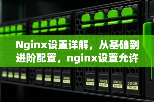 Nginx设置详解，从基础到进阶配置，nginx设置允许跨域
