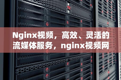 Nginx视频，高效、灵活的流媒体服务，nginx视频网站