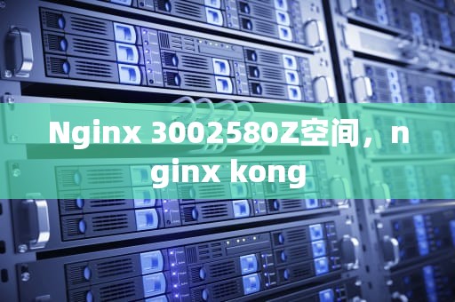 Nginx 3002580Z空间，nginx kong