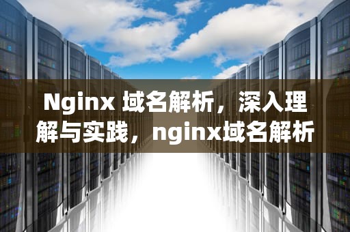 Nginx 域名解析，深入理解与实践，nginx域名解析resolver