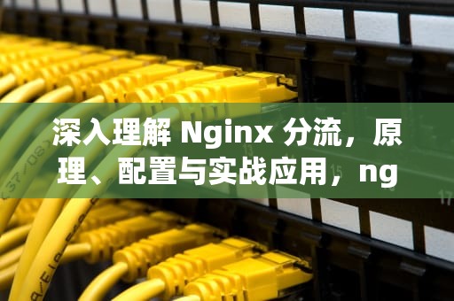 深入理解 Nginx 分流，原理、配置与实战应用，nginx分流策略