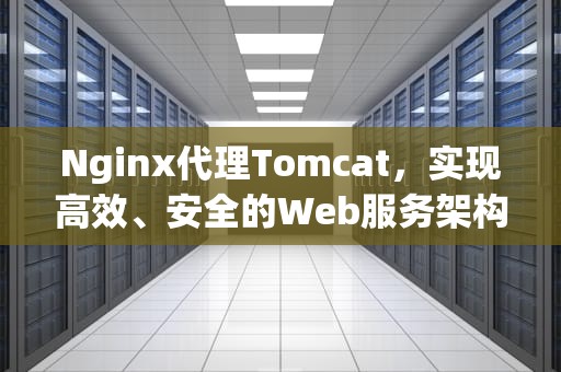 Nginx代理Tomcat，实现高效、安全的Web服务架构，nginx代理请求头