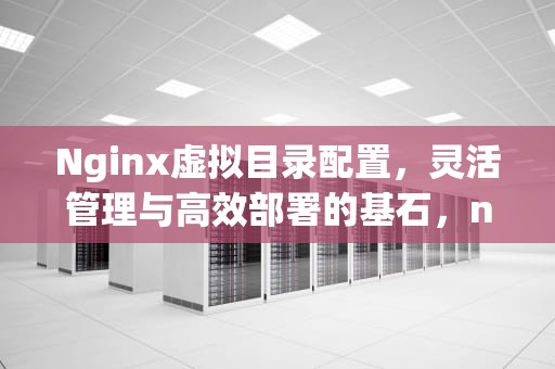 Nginx虚拟目录配置，灵活管理与高效部署的基石，nginx虚拟目录配置