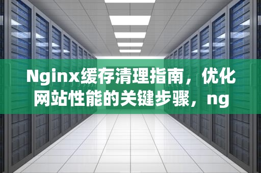 Nginx缓存清理指南，优化网站性能的关键步骤，nginx 缓存清理