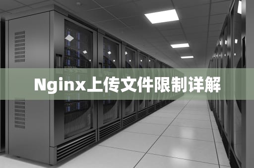 Nginx上传文件限制详解