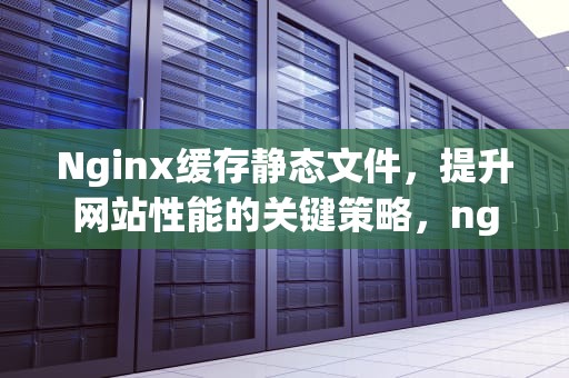 Nginx缓存静态文件，提升网站性能的关键策略，nginx 缓存静态文件