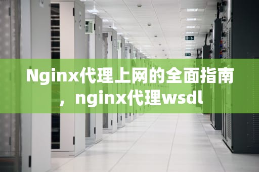 Nginx代理上网的全面指南，nginx代理wsdl