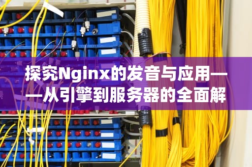 探究Nginx的发音与应用——从引擎到服务器的全面解析，nginx发音怎么念啊