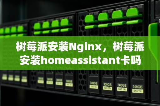 树莓派安装Nginx，树莓派安装homeassistant卡吗