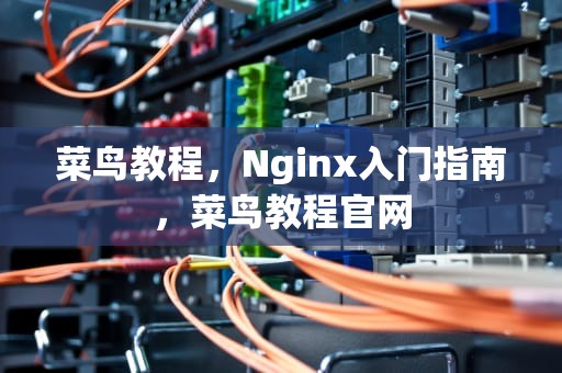 菜鸟教程，Nginx入门指南，菜鸟教程官网
