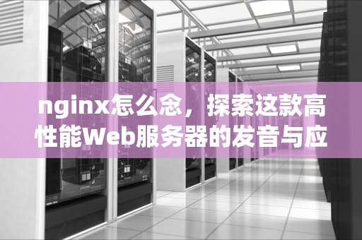 nginx怎么念，探索这款高性能Web服务器的发音与应用，nginx读法