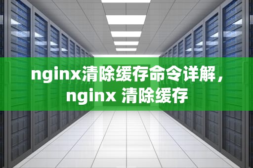 nginx清除缓存命令详解，nginx 清除缓存