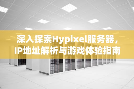深入探索Hypixel服务器，IP地址解析与游戏体验指南，hypixel服务器ip地址