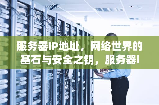 服务器IP地址，网络世界的基石与安全之钥，服务器ip地址在哪里看
