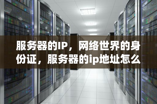 服务器的IP，网络世界的身份证，服务器的ip地址怎么查询