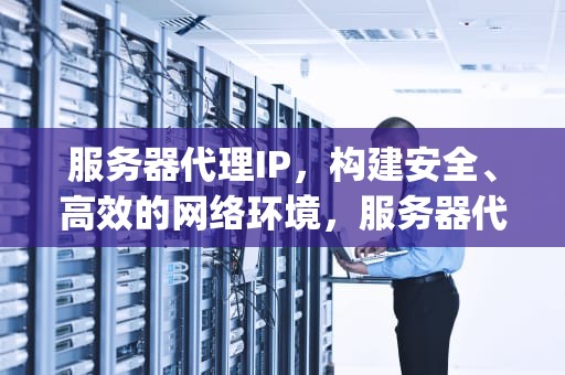 服务器代理IP，构建安全、高效的网络环境，服务器代理ip搭建
