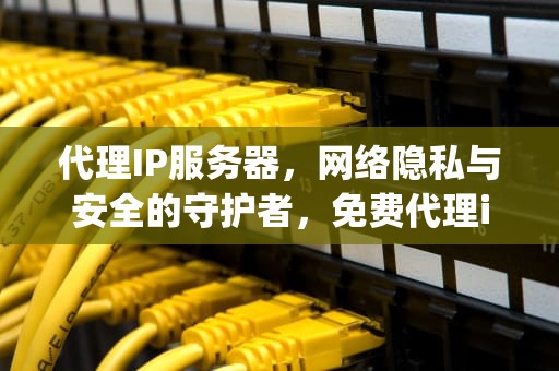 代理IP服务器，网络隐私与安全的守护者，免费代理ip服务器