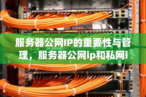 服务器公网IP的重要性与管理，服务器公网ip和私网ip的区别