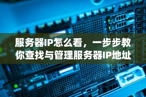 服务器IP怎么看，一步步教你查找与管理服务器IP地址，人渣服务器ip怎么看