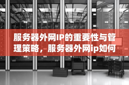 服务器外网IP的重要性与管理策略，服务器外网ip如何查看