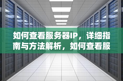 如何查看服务器IP，详细指南与方法解析，如何查看服务器ip地址