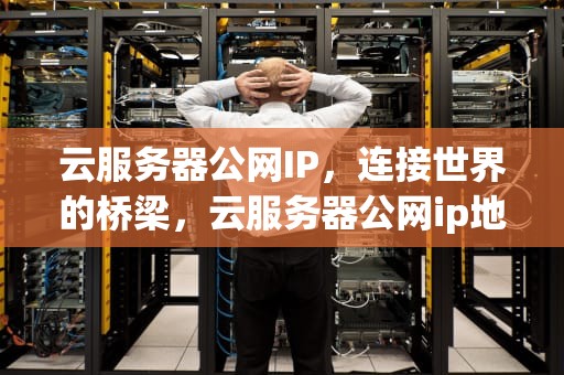 云服务器公网IP，连接世界的桥梁，云服务器公网ip地址怎么来的