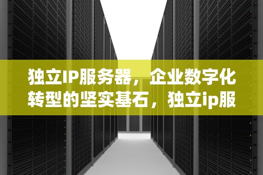 独立IP服务器，企业数字化转型的坚实基石，独立ip服务器购买
