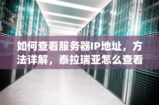 如何查看服务器IP地址，方法详解，泰拉瑞亚怎么查看服务器ip