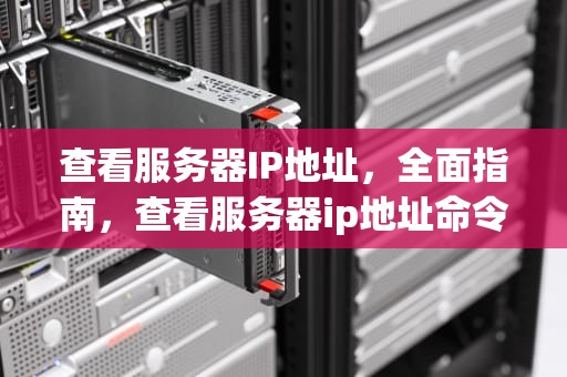 查看服务器IP地址，全面指南，查看服务器ip地址命令