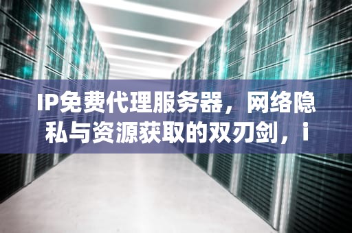 IP免费代理服务器，网络隐私与资源获取的双刃剑，ip免费代理服务器有哪些