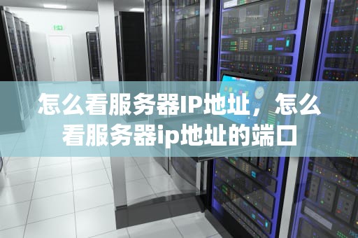 怎么看服务器IP地址，怎么看服务器ip地址的端口