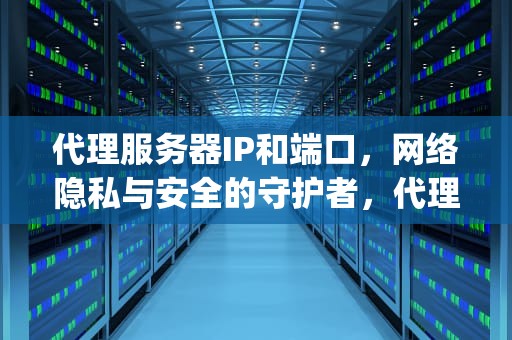 代理服务器IP和端口，网络隐私与安全的守护者，代理服务器ip和端口怎么填