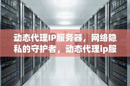 动态代理IP服务器，网络隐私的守护者，动态代理ip服务器连接失败