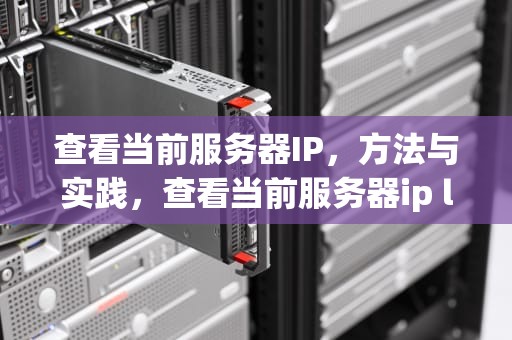 查看当前服务器IP，方法与实践，查看当前服务器ip linux