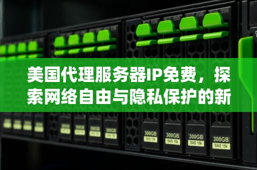 美国代理服务器IP免费，探索网络自由与隐私保护的新途径，美国代理服务器ip免费吗