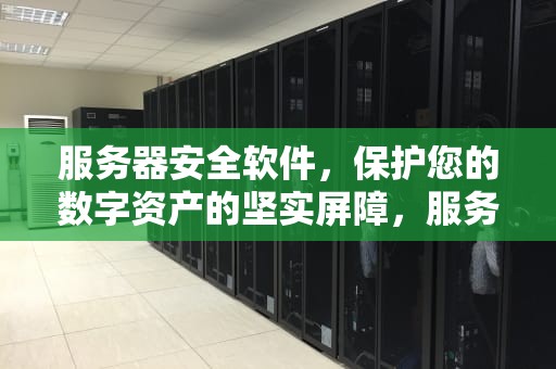 服务器安全软件，保护您的数字资产的坚实屏障，服务器安全软件排行