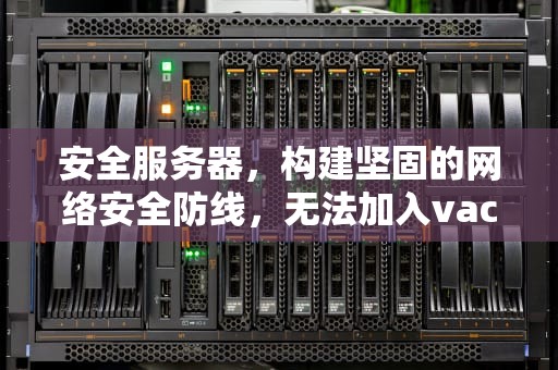 安全服务器，构建坚固的网络安全防线，无法加入vac安全服务器