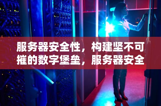 服务器安全性，构建坚不可摧的数字堡垒，服务器安全性测试