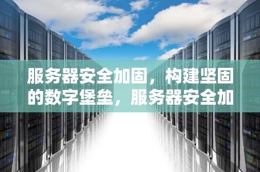 服务器安全加固，构建坚固的数字堡垒，服务器安全加固方案