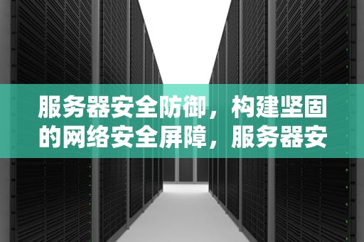 服务器安全防御，构建坚固的网络安全屏障，服务器安全防御措施
