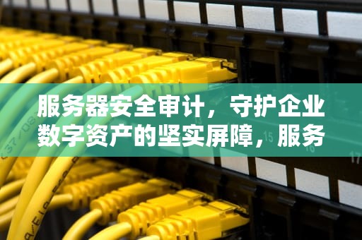 服务器安全审计，守护企业数字资产的坚实屏障，服务器安全审计功能 怎么配置