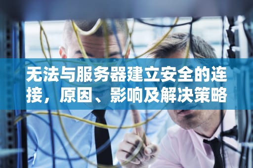 无法与服务器建立安全的连接，原因、影响及解决策略，为什么无法与服务器建立安全的连接