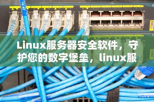 Linux服务器安全软件，守护您的数字堡垒，linux服务器安全吗